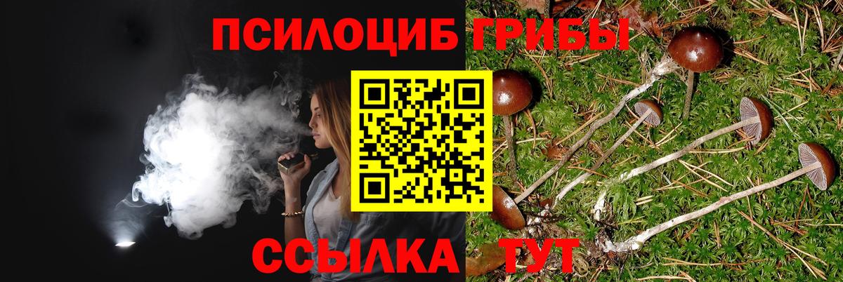 Соликамск  Псилоцибиновые грибы Psilocybine cubensis  Вход с VPN  Галлюциногенные грибы MAGIC MUSHROOMS 